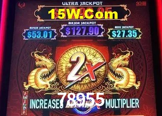 Experiência VIP 78955